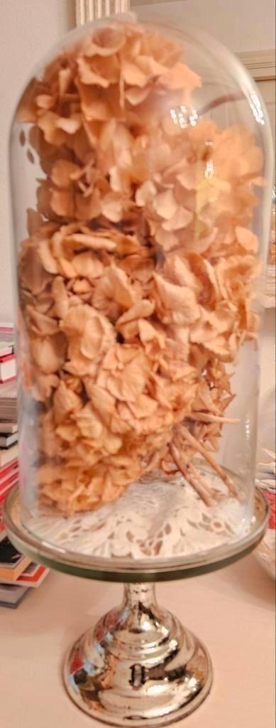 Mooie zilv. standaard met glazen stolp totale hoogte 50, Huis en Inrichting, Woonaccessoires | Stolpen, Ophalen of Verzenden