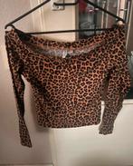 Dames Bovenkleding, Kleding | Dames, Tops, Maat 38/40 (M), Zwart, Ophalen of Verzenden, Zo goed als nieuw