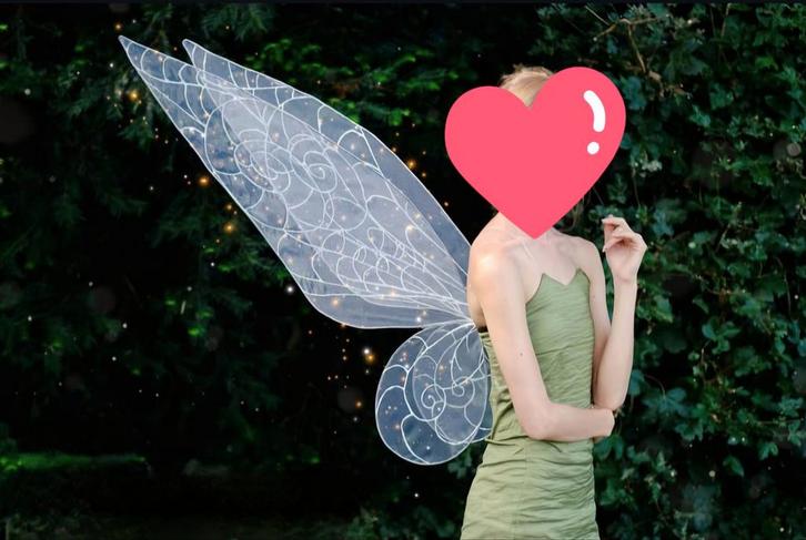 Handgemaakte grote Tinkerbell vleugels, Hobby en Vrije tijd, Kostuums, Theaterbenodigdheden en LARP, Gebruikt, Accessoires, Ophalen