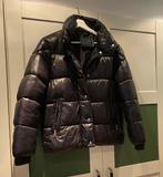 Polo club gewatteerde winterjack maat S, Zwart, Ophalen of Verzenden, Zo goed als nieuw, Maat 36 (S)