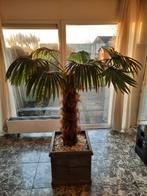 Exclusieve kunst palmboom(ophalen), Ophalen, Zo goed als nieuw, Overige materialen, 75 cm of meer