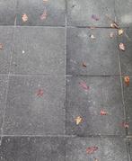 Beton tegels Schellevis 50x50 - 26 stuks, Ophalen, Gebruikt, Minder dan 5 m², Beton