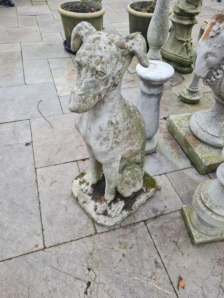 Groot betonnen tuinbeeld windhond, Tuin en Terras, Tuinbeelden, Gebruikt, Dierenbeeld, Beton, Ophalen