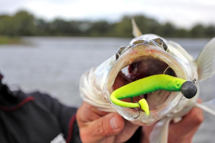 Jighead Loodkop vislood, Watersport en Boten, Hengelsport | Roofvissen, Nieuw, Dobber of Lood, Ophalen of Verzenden
