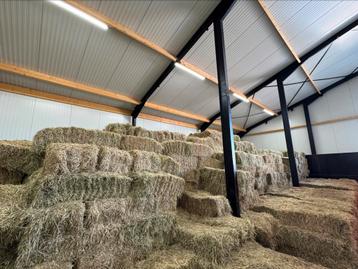 Minibalen hooi beschikbaar voor biedingen