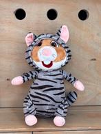 AH dierendag hamster poes, Ophalen of Verzenden, Zo goed als nieuw, Overige typen