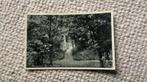 Ansichtkaart Boschgezicht Rijs 1936. 971, Ophalen of Verzenden, 1920 tot 1940, Gelopen, Friesland
