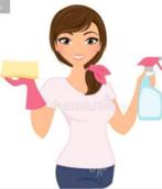 Schoonmakster aangeboden, Vacatures, Vacatures | Schoonmaak en Facilitaire diensten, 33 - 40 uur, MBO, Vanaf 10 jaar, Overige vormen