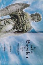 Francis Melville - Het boek der engelen, Achtergrond en Informatie, Ophalen of Verzenden, Zo goed als nieuw, Francis Melville