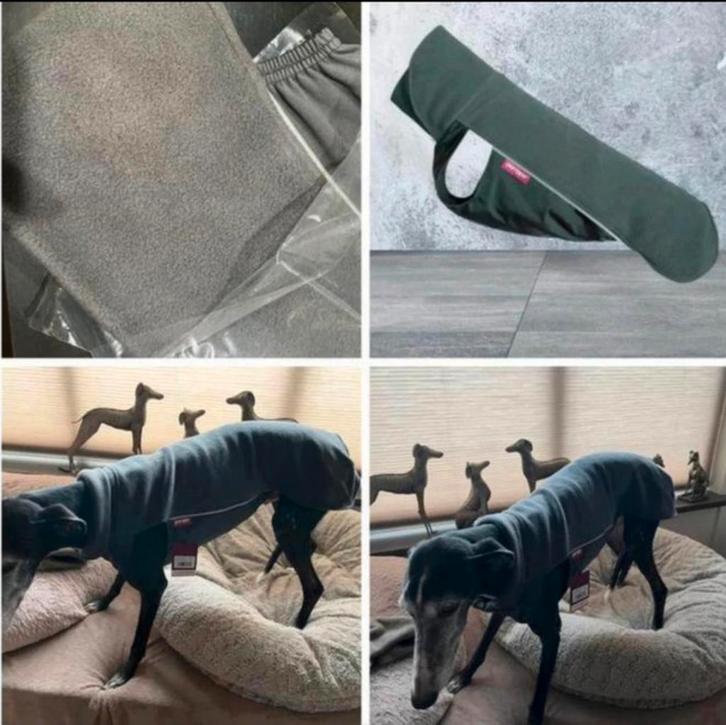 Jumppa Pomppa jumper graphite grijs 65 hondentrui, Dieren en Toebehoren, Hondenkleding, Nieuw, Hondentrui, Ophalen