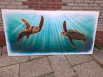 Schilderij schildpad cees mudde, Ophalen, 125 cm of meer, Zo goed als nieuw, Schilderij