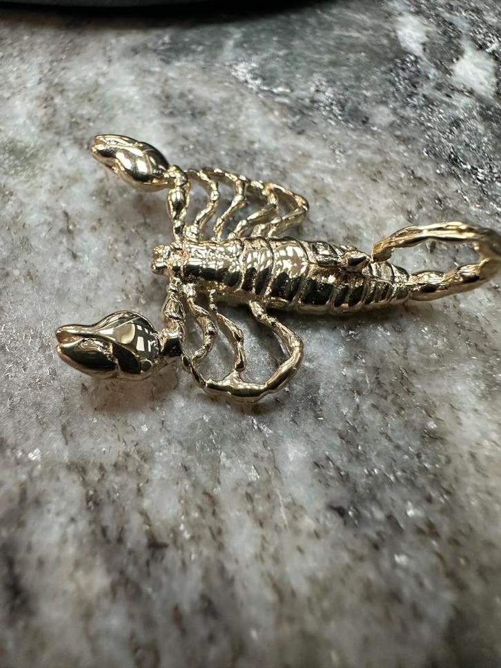 14k Gouden Schorpioen Hanger, Sieraden, Tassen en Uiterlijk, Kettinghangers, Nieuw, Goud, Goud, Dier, Ophalen of Verzenden