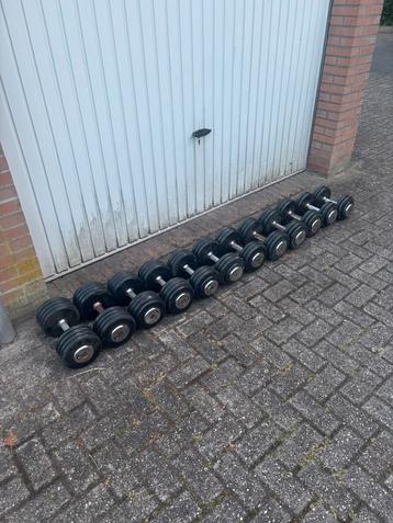 Lifemaxx dumbells 16kg t/m 26kg (stappen van 2kg) beschikbaar voor biedingen