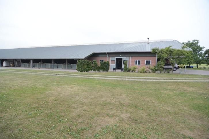 Pensionstalling aangeboden, Dieren en Toebehoren, Stalling en Weidegang, Stalling, 2 of 3 paarden of pony's