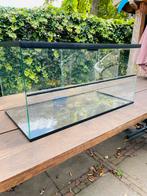 Hamsterhok 80x40x40cm - incl toebehoren, Ophalen, Gebruikt, Overige typen