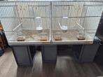 Draadkooien, Dieren en Toebehoren, Vogels | Hokken en Kooien, Ophalen of Verzenden, Nieuw, Metaal, Vogelkooi
