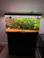 Aquarium ophalen in Purmerend, Dieren en Toebehoren, Vissen | Aquaria en Toebehoren, Ophalen of Verzenden, Leeg aquarium