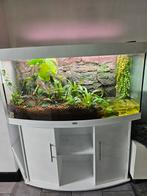 Terrarium, aquarium, paludarium, Dieren en Toebehoren, Reptielen en Amfibieën | Toebehoren, Ophalen, Gebruikt, Terrarium of Paludarium