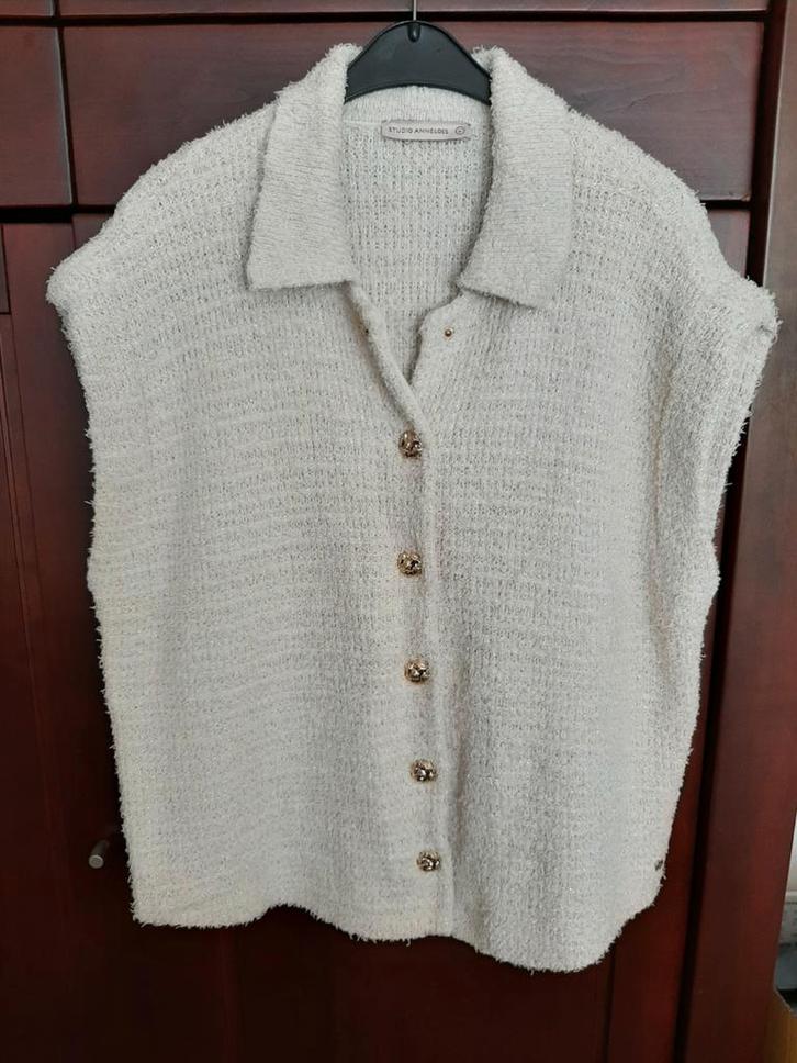 Studio Anneloes gilet Lotte maat L kleur kit met goud, Kleding | Dames, Truien en Vesten, Zo goed als nieuw, Maat 42/44 (L), Overige kleuren