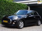 Mini Mini Salt Business | Climate control | Cruise control |, Voorwielaandrijving, Gebruikt, 4 stoelen, 1198 cc
