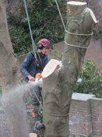 Wij klimmen veilig in uw boom,snoeien,rooien Eindhoven eo., Ophalen of Verzenden, 20 m² of meer