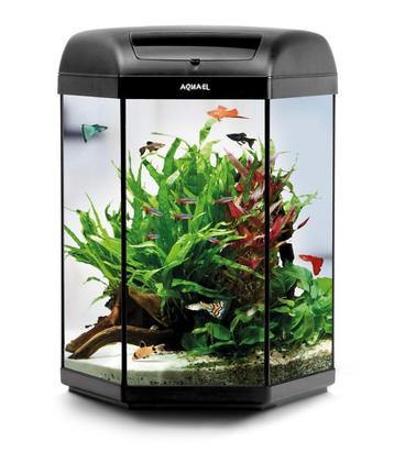 Hexagon aquarium, uniek 6 kantig aquarium compleet beschikbaar voor biedingen