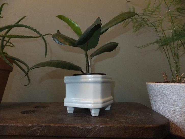 gratis verzenden vierkant vintage bloempot cactusbak regency, Antiek en Kunst, Curiosa en Brocante, Verzenden