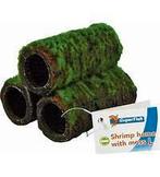 sf shrimp home met mos l €8,75, Dieren en Toebehoren, Vissen | Aquaria en Toebehoren, Ophalen of Verzenden, Nieuw, Sierelement