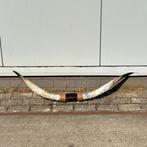 Bullbar Texas Longhorn met leer, Verzamelen, Dierenverzamelingen, Ophalen of Verzenden, Nieuw, Boerderijdier, Gewei of Kop