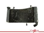 RADIATEUR Ducati ST 2 1997-2003 (ST2) (01-1997/12-2003), Motoren, Gebruikt