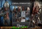 Hot Toys Prey Feral Predator TMS114 1/6 Figuur, Ophalen of Verzenden, Nieuw, Film, Actiefiguur of Pop