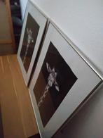 Schilderij  giraffe  2 stuks/ Leen Bakker, Ophalen, Zo goed als nieuw, Hout