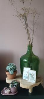 Grote groene vaas/fles, Huis en Inrichting, Woonaccessoires | Vazen, Minder dan 50 cm, Groen, Glas, Zo goed als nieuw
