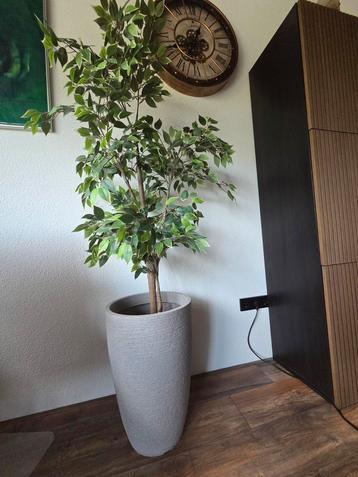 Kunstplant met pot - 175cm hoog beschikbaar voor biedingen