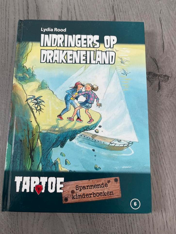 Indringers op Drakeneiland - Lydia Rood, Boeken, Kinderboeken | Jeugd | onder 10 jaar, Zo goed als nieuw, Fictie algemeen, Ophalen