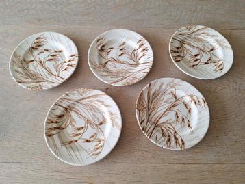 5 Gebaksbordjes Staphordshire crème, bruin limited beschikbaar voor biedingen