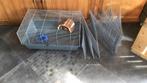 Hamster kooi met ren en toebehoren, Kooi, Gebruikt, Minder dan 75 cm, Hamster
