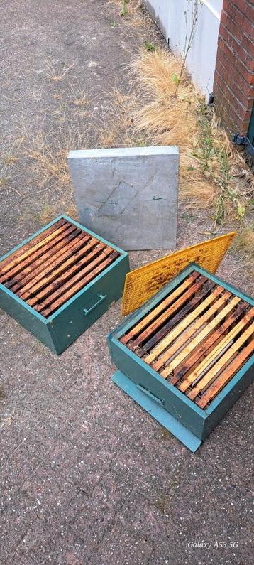 3 bijenkasten beschikbaar voor biedingen