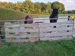 Weidepoort dubbele., Dieren en Toebehoren, Stalling en Weidegang