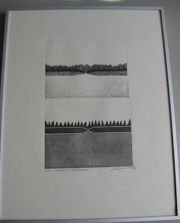 Ets Herkend landschap Peter Yvon de Vries, Antiek en Kunst, Kunst | Etsen en Gravures, Ophalen