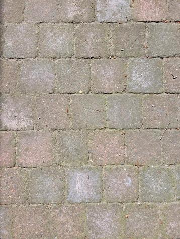 Vierkante betonklinkertjes 10x10cm 3m2 rood/blauw (GRATIS) beschikbaar voor biedingen