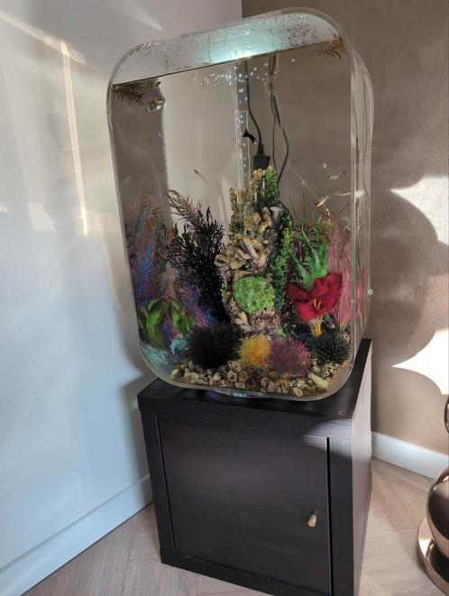 Biorb LIFE aquarium 60 liter, Dieren en Toebehoren, Vissen | Aquaria en Toebehoren, Zo goed als nieuw, Gevuld zoetwateraquarium