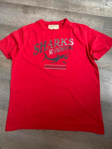 Heren shirt maat L beschikbaar voor biedingen