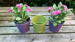 3 IKEA bloempotten met 2 kunstplantjes, Ophalen of Verzenden, Zo goed als nieuw