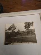 KRUININGEN. 1984.  HERTENKAMP, Ophalen of Verzenden, 1980 tot heden