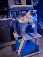 Kattenhuis & Kattenmand – Kattenboom - Grijs, Ophalen, Nieuw, Krabpaal