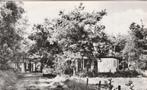 chaam- de flaasbloem, Ophalen of Verzenden, 1940 tot 1960