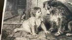 Ets antiek “ can't you talk” signatuur, hond, kat en peuter., Antiek en Kunst, Kunst | Etsen en Gravures, Ophalen of Verzenden