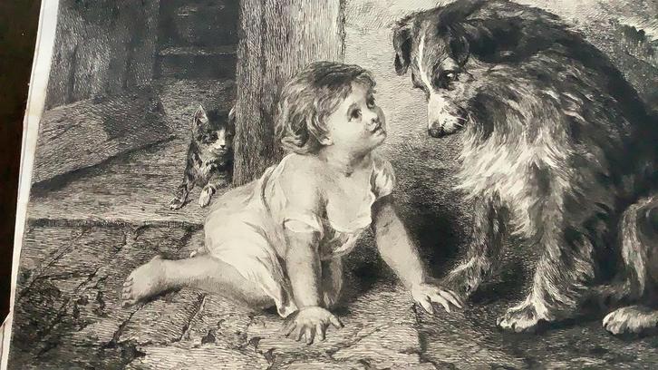 Ets antiek “ can't you talk” signatuur, hond, kat en peuter., Antiek en Kunst, Kunst | Etsen en Gravures, Ophalen of Verzenden