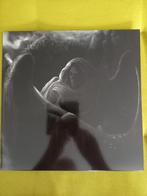 ADVERSARIAL: Prophetic Plain Of Abyssal Revelation LP, Ophalen of Verzenden, Zo goed als nieuw